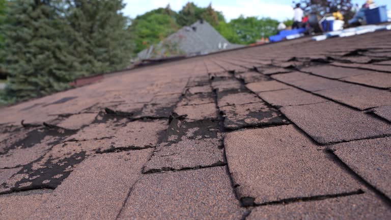Best Skylight Installation and Repair  in Middletown, DE