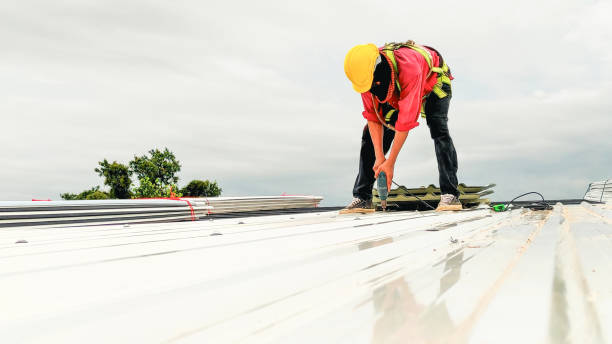 Best Roof Maintenance and Cleaning  in Middletown, DE